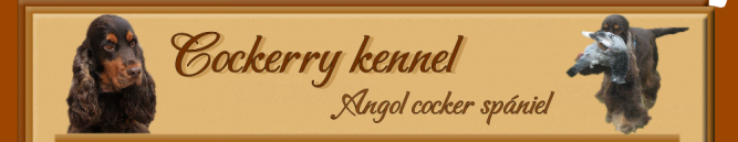 Cockerry - English Cocker Spaniel & Kerry Blue Terrier Kennel